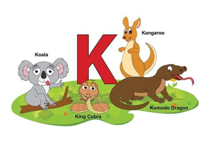 A Journey To The Letter "K"