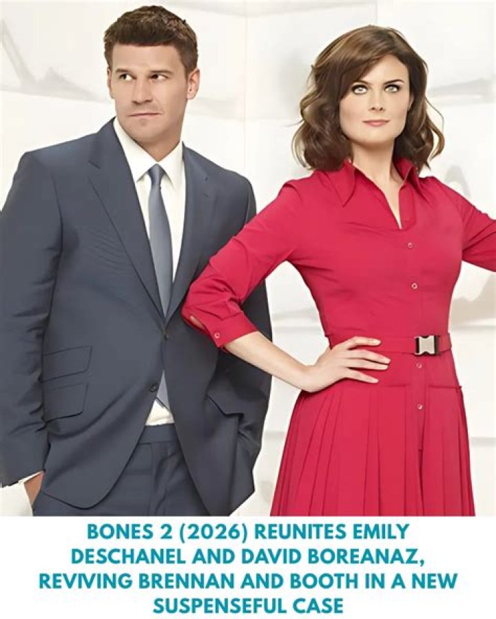 Uncovering The Inspiring Story Behind David Boreanaz's Wife